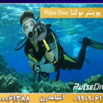 پین پوینتر نوکتا Pulse Dive