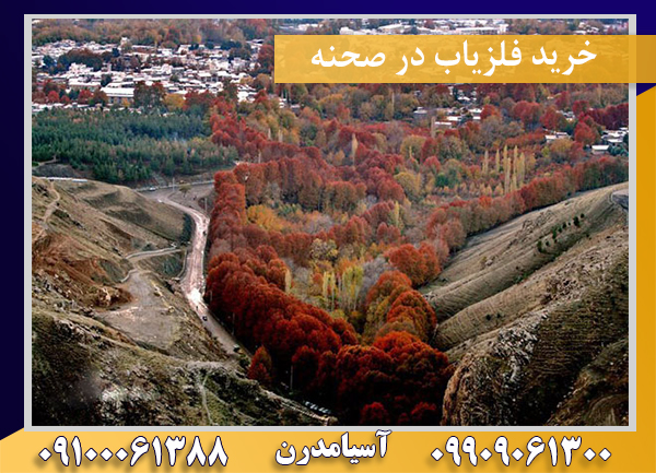 خرید فلزیاب در صحنه09100061388